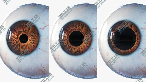 images/goods_img/20210312/3D Eye Rigged model/2.jpg